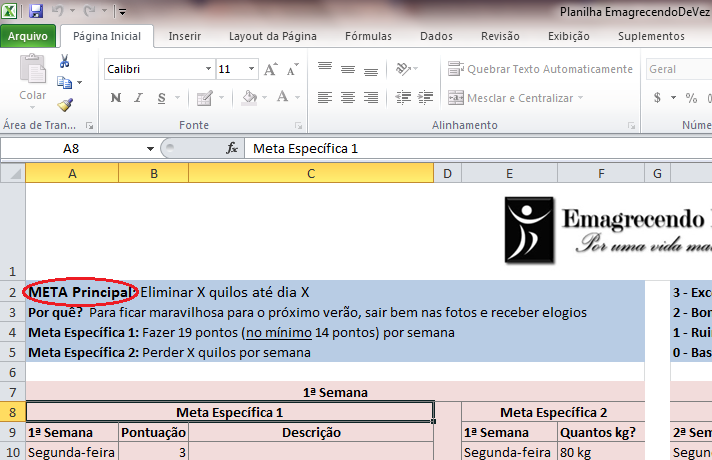 META Principal: Primeiro você tem que abrir a planilha e colocar sua própria Meta Principal no respectivo campo, como mostra a imagem a seguir: A sua Meta principal deve ser específica.