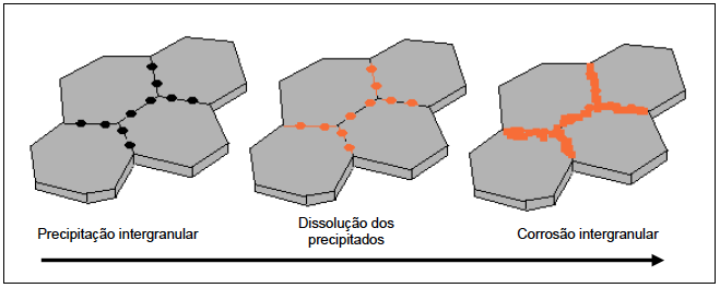 Figura 8 - Fluxograma do mecanismo de corrosão intergranular por dissolução de precipitados.