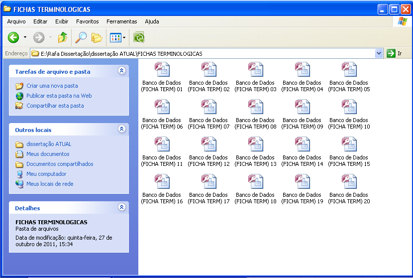 Figura 13 Fichas terminológicas armazenadas em pasta no computador A ficha terminológica elaborada para este trabalho apresenta dez campos, que