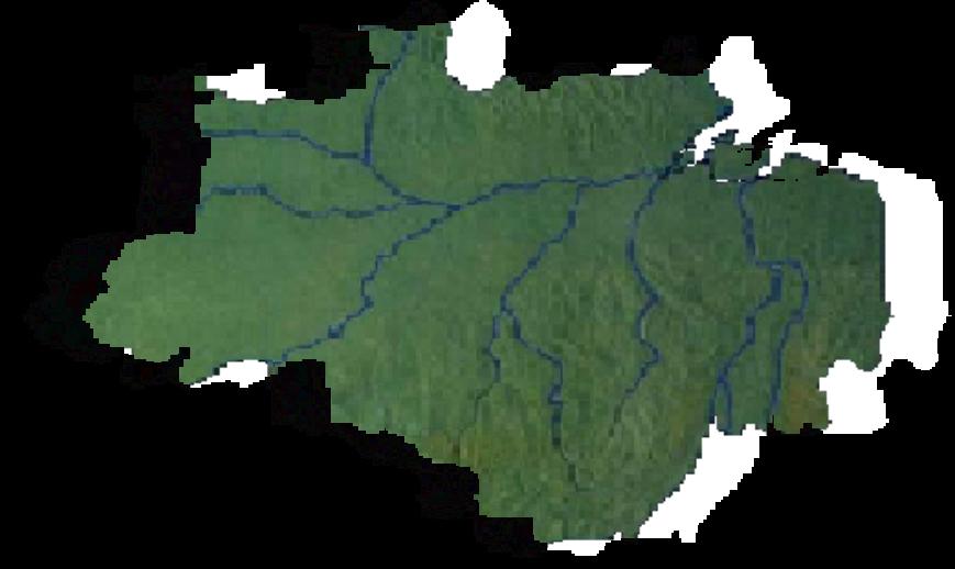 Amazônia