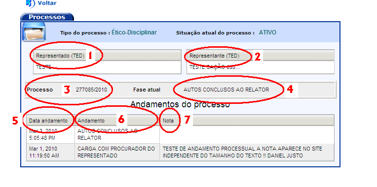 Após consultado, será exibida a tela do processo (Figura 3) com as seguintes informações: 1) Representado; 2)