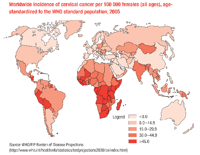 Incidência mundial de câncer cervical por 100.000 mulheres (todas as idades, padronizada) WHO, 2007.