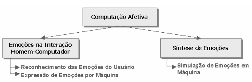 16 emoções fazem parte ativa no funcionamento mental geral.