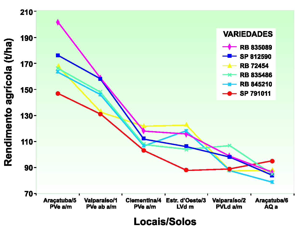 proporcionar melhor produtividade porque o sistema radicular da cana explora grandes volumes de solo, inclusive