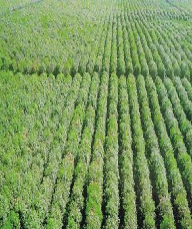 A Deus coube criar a vida. Aos agricultores cabe preservar a vida.