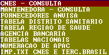 No rodapé do sistema podemos encontrar as seguintes informações, que em relação à tela apresentada significam o seguinte: 201209c: é a versão do kit de tabelas de competência importadas no sistema.