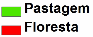 Áreas Agricultáveis (ha) Áreas de Pastagens (ha) Anos Landsat-5 IBGE Landsat- 5 IBGE 1994 3.037 3.123 1995 8.072 8.599 18.119,34 19.119 1996 2.947 3.965 16.245,63 19.119 1998 4.080 5.922 1999 6.