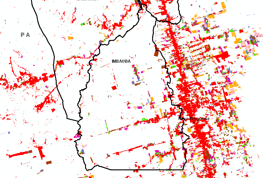 Figura 4: Situação do desflorestamento na gleba Terra Firme.