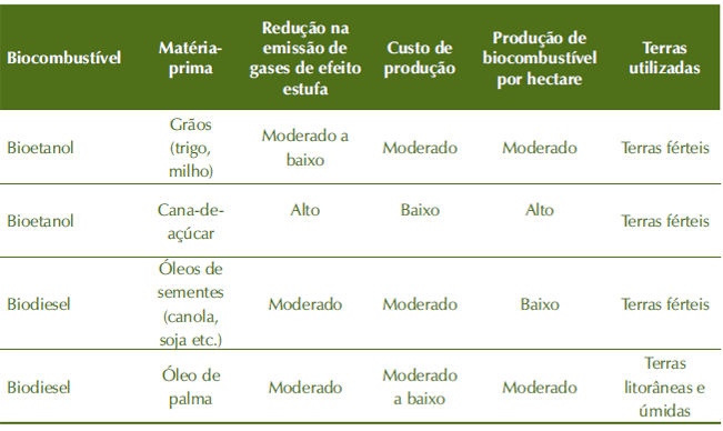 Fgura 2 - Quadro geral dos bocombustíves. Fonte - BANCO NACIONAL DE DESENVOLVIMENTO ECONÔMICO E SOCIAL, 2008.