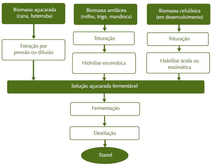 Fgura 3 - Dferentes rotas para a produção de boetanol. Fonte - BANCO NACIONAL DE DESENVOLVIMENTO ECONÔMICO E SOCIAL, 2008.