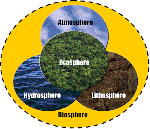 Neste curso, estudaremos todas essas estruturas da Terra! A biosfera é o local da Terra em que se desenvolveu a vida. É o conjunto de todos os ecossistemas.