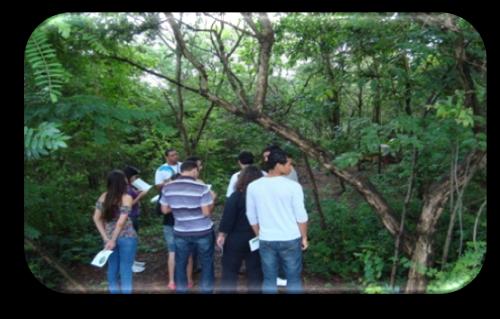 novoeco Construção do Espaço novoeco Trilha Ecológica Área de Convivência Espaço Multiuso Estufa