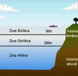 Luz: Divisão dos ambientes aquáticos Eufótica A luz penetra bem na água, de