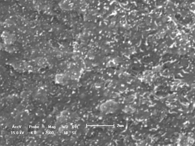 Figura 4 Amostra 5000/10-0,25%, início do processo de desemaranhamento Nesta fase intermediária é possível perceber que existem muito mais nanotubos do que em qualquer outra parte da superfície da