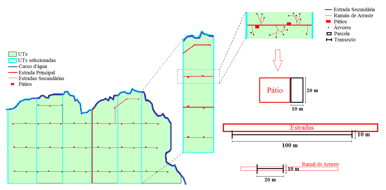 33 Figura 14. Ilustração esquemática da alocação das parcelas nas estradas, pátios e ramais de arraste da UMF I (Fonte: elaborado pelo autor, fora de escala).