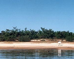 ilhas de areia, muito utilizadas por turistas, que são abordados pelos órgãos de meio ambiente