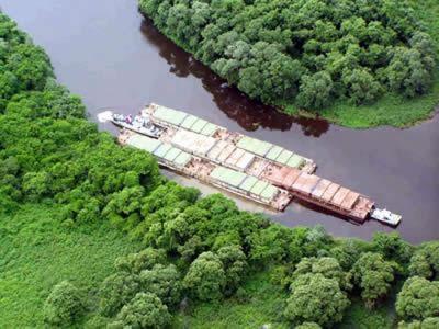 Bacia do Paraguai Tipicamente de planície. Corta a área do pantanal.