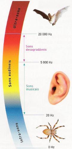 Acústica É a parte da Física que estuda o som e suas propriedades. Ondas sonoras As ondas longitudinais de pressão, que se propagam no ar ou em outros meios, são denominadas ondas sonoras.