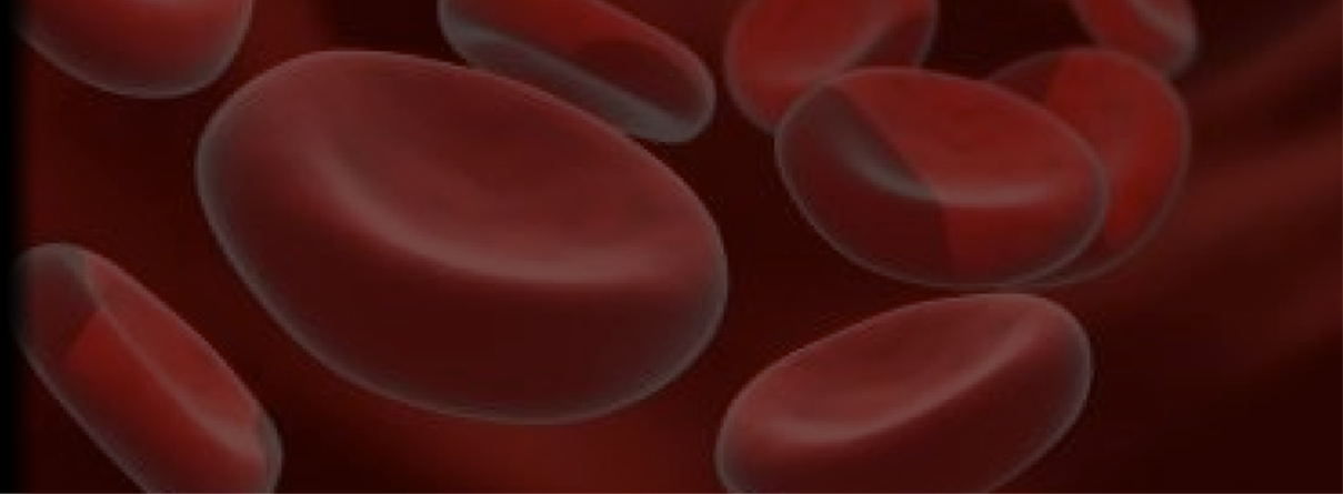 ERITROGRAMA Análise quantitativa e qualitativa do sangue circulante Contagem e morfologia