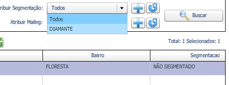 7. Depois de visualizar a confirmação da criação da segmentação, feche a janela de CADASTRO DE SEGMENTAÇÃO; 8.