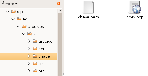 de dados com o código 5. E o IP da máquina aonde está este sistema é 200.193.27.88. Para pegar a chave privada desta AC bastaria ser digitado o seguinte endereço em algum navegador: http://200.193.27.88/ac/arquivos/2/chave/chave.