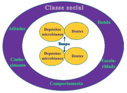 26 foram capazes de explicar a ocorrência da doença na população humana. A cárie é muito mais complexa, podendo ser influenciada por fatores modificadores (figura 2).