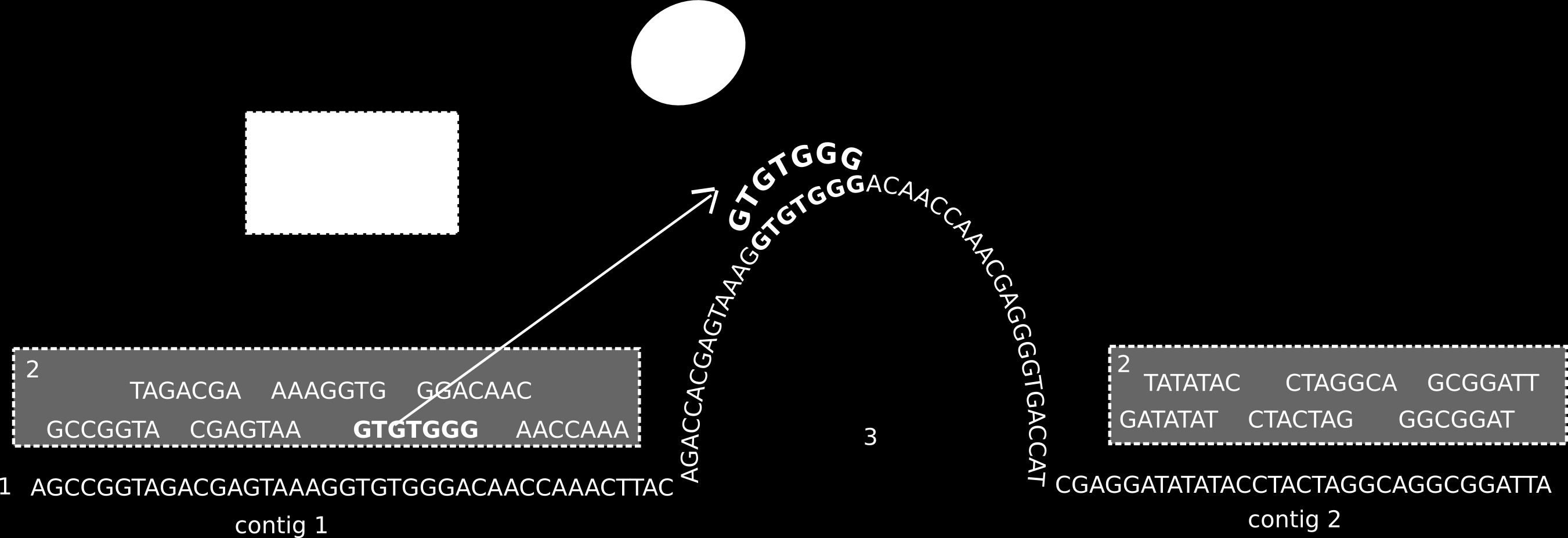 65 Figura A.6: Esquema do funcionamento do ASiD dados color space para o formato base space, com a terminologia.fa. Para esta conversão, é utilizada a referência 0=A, 1=C, 2=T, 3=G e 4=N.