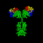 3 Cadeia J Componente secretor Figura 2A A estrutura básica das imunoglobulinas Figure 2B Clique na imagem à esquerda para um tutorial com animação da estrutura do anticorpo Requer Plug-In Chime.