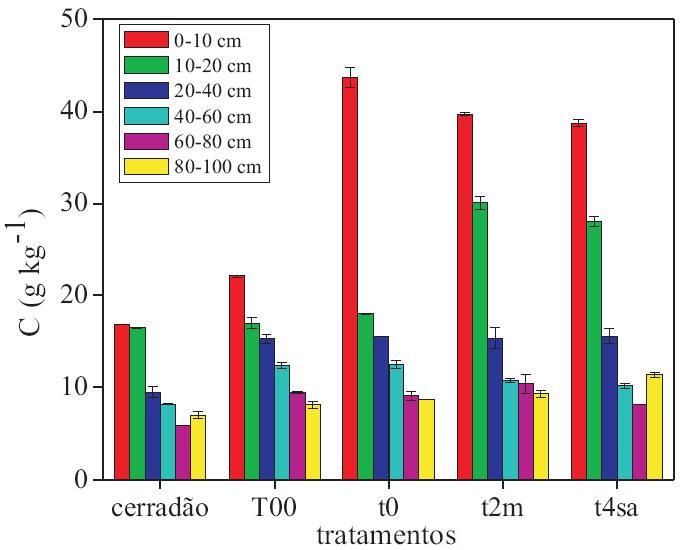 Sequestro de carbono em solos com gramímeas Cerradão (área de transição da mata nativa e cerrado); E solo há 27 anos sob pastagens de Brachiaria decumbens, nos tratamentos: T00 (sem N e sem cálcario)