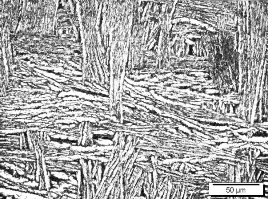 temperatura abaixo da beta-transus (770 o C), não ocorreu mudança de fase. Figura 8: Microscopia óptica da amostra Ti5Ni#3.