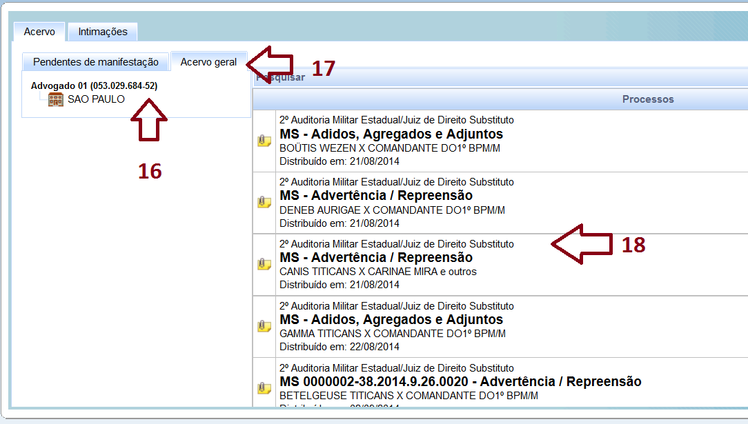 4. CONSULTANDO PROCESSOS O Painel possui diversas funcionalidades destinadas para a parte interessada, possibilitando um gerenciamento abrangente de todo o acervo.