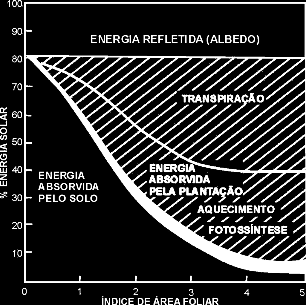 DISTRIBUIÇÃO