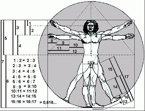 no corpo humano; a proporção áurea na arte; o número Phi na arquitetura; a proporção área no universo e os crop circles; a proporção áurea na