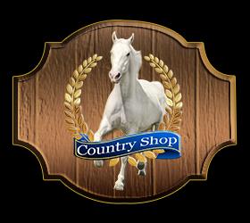Portal Country Shop De onde vem os acessos para o Portal