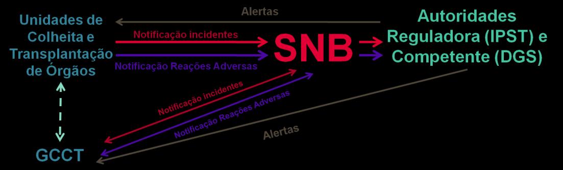 A nova ferramenta de notificação não exige a utilização de credenciais de acesso, pelo que qualquer profissional da saúde poderá submeter as informações que considerar relevantes ao SNB.