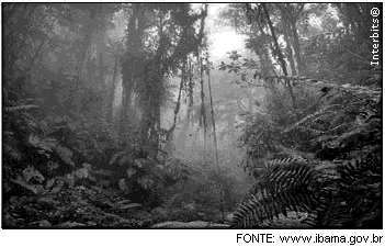 14- Em relação às florestas tropicais úmidas é correto afirmar que: (A) se localizam nas mais altas latitudes do planeta. (B) são constituídas de baixa a média biodiversidade.