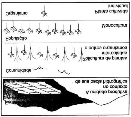 11 Figura 4. Níveis de organização do ecossistema aplicados a um agroecossistema (Fonte: Gliessman, 2001).