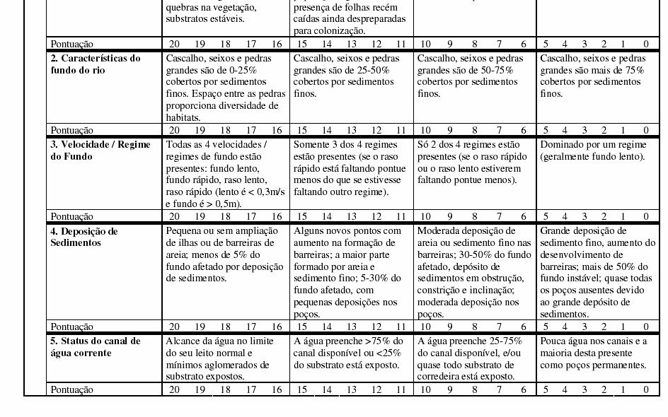 Anexo 4: Protocolo de Avaliação