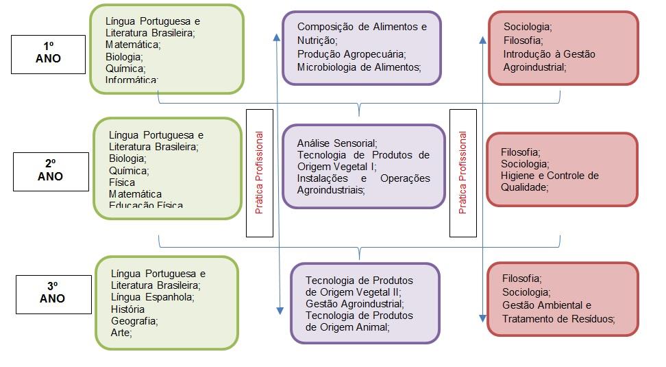 4.3. Representação gráfica do Perfil de Formação: Curso Técnico em Agroindústria