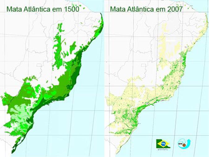 Histórico do desmatamento 500 anos de ocupação - Do total de 1.300.000 km 2 apenas 7,6% se encontra preservado (CAPOBIANCO et al. 2004).