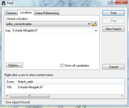 A primeira forma é através da ferramenta Find, em que no separador das localizações se seleciona o Localizador de Endereços desejado e se digita o nome do endereço pretendido conforme demonstra a