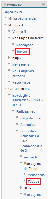 Os pontos 6 e 12 do retorno do validador indicam que há dois links de nome Tópicos no menu navegação.