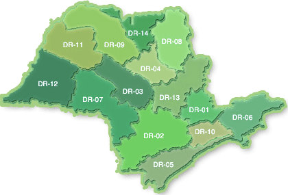 3 Bauru DR.4 Araraquara DR.5 Cubatão DR.6 Taubaté DR.7 Assis DR.8 Ribeirão preto DR.