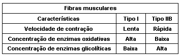 7. (Fuvest 2008) A tabela a seguir apresenta algumas características de dois tipos de fibras musculares do corpo humano.
