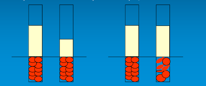 HEMOGLOBINA