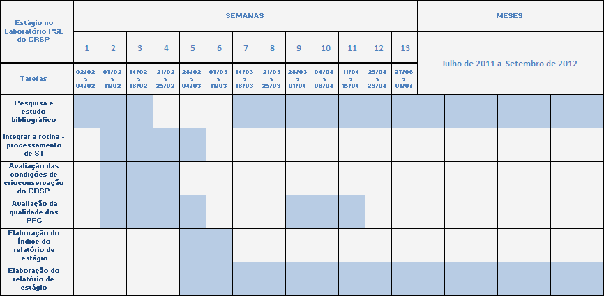 Figura 7. Calendarização do estágio no CRSP 4.1.