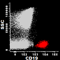 Figura 11 Dotplots representativos da imunofenotipagem das células de