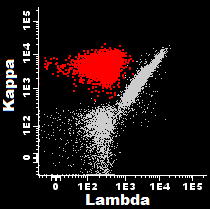 Figura 21 Dotplots representativos da imunofenotipagem dos leucócitos do sangue