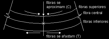 32 2.2. Concepção e Calculo Estrutura de marquises em concreto armado O Concreto Armado é um material formado pela união do concreto com o aço (material dúctil) resultando em um material flexível.