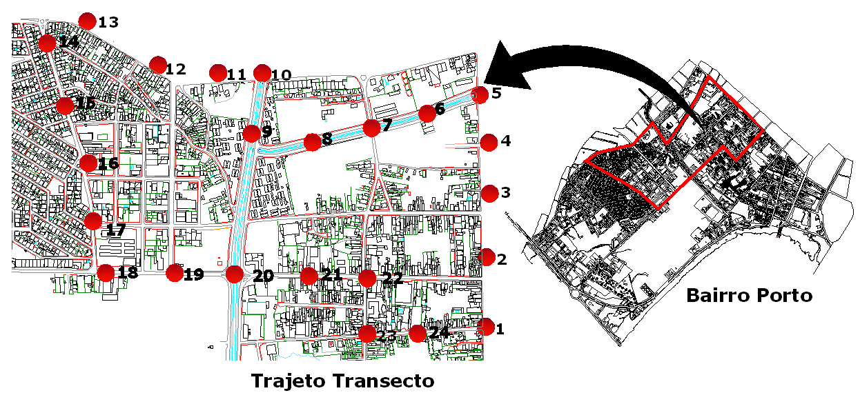 Figura 3 Percurso com os pontos do transecto móvel 3.